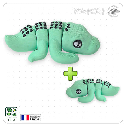 Crocodile