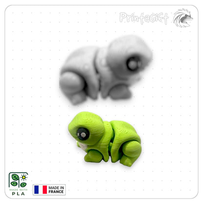 Grenouille