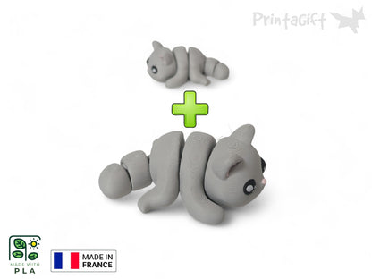Chat gris