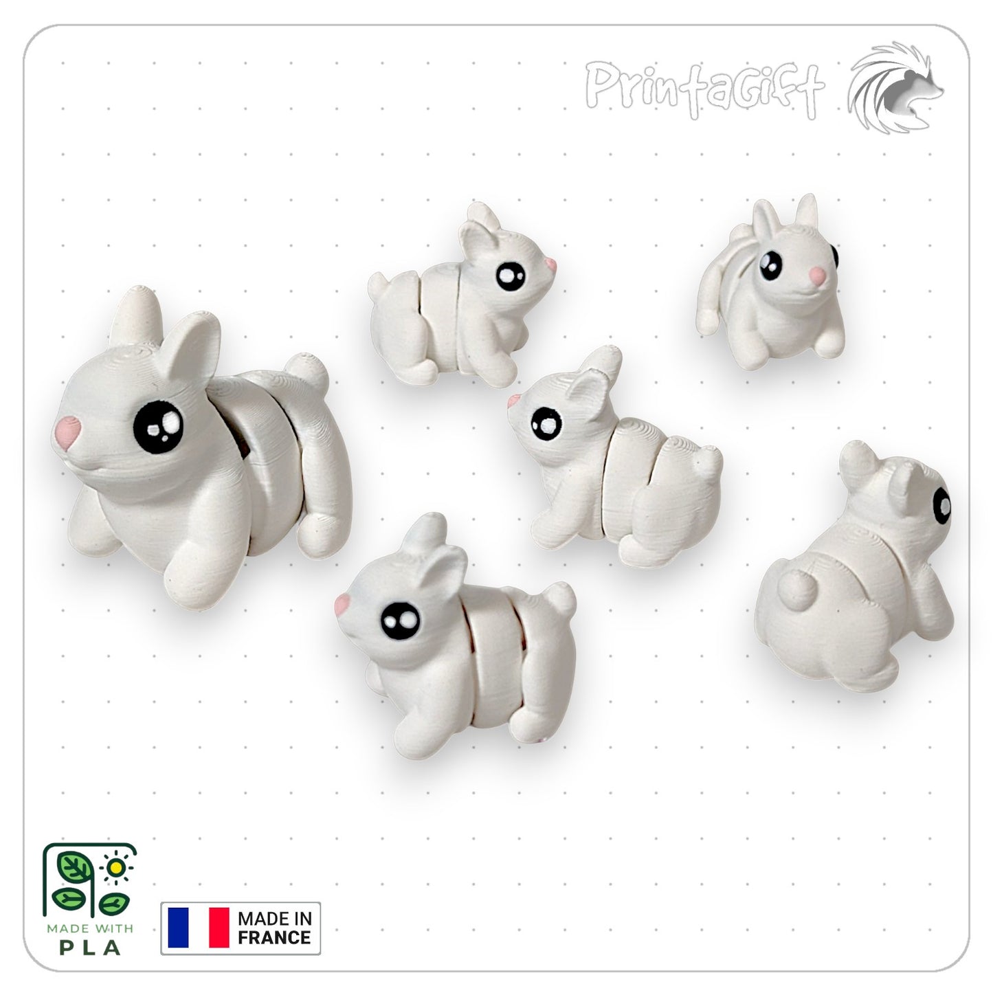 Lapin