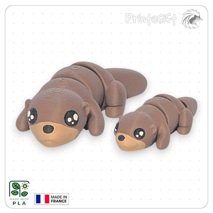 Loutre