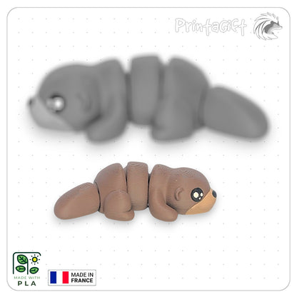 Loutre