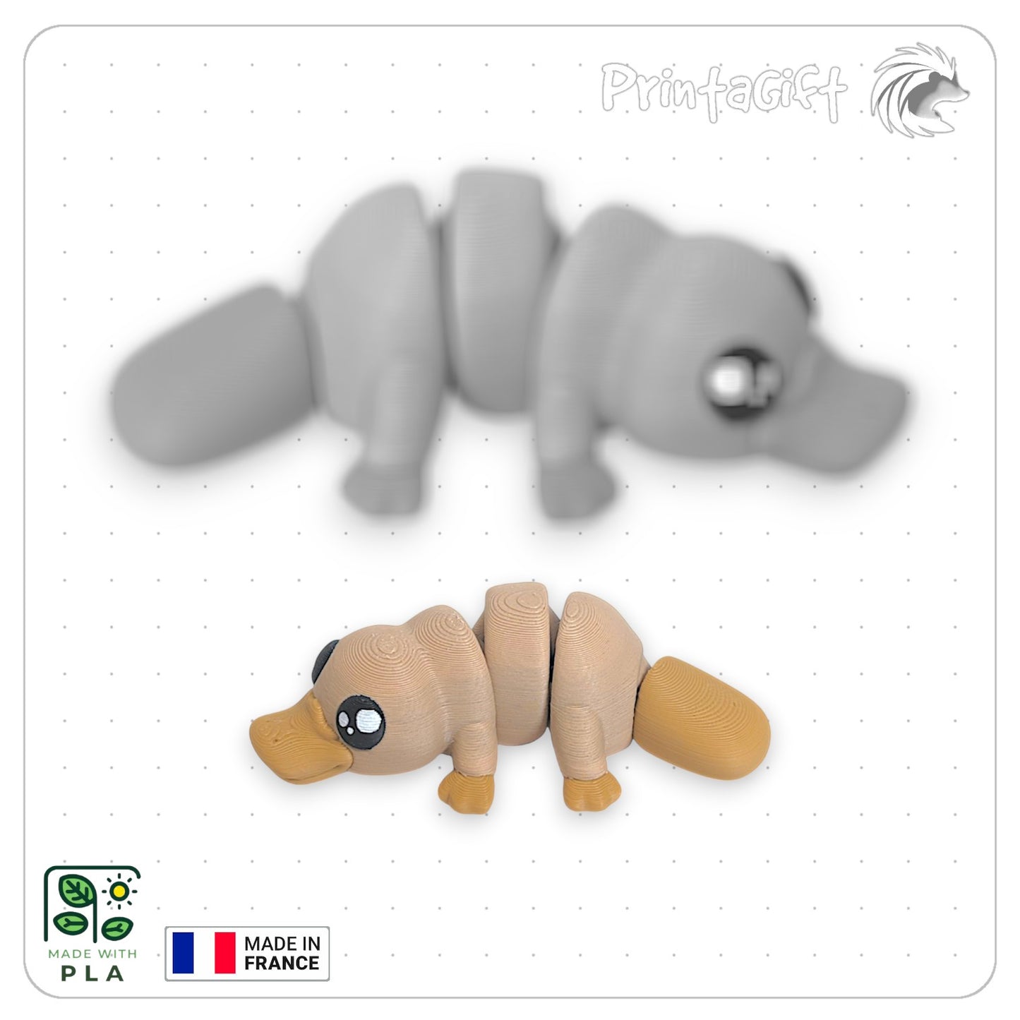 Ornithorynque