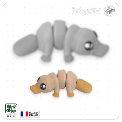 Ornithorynque