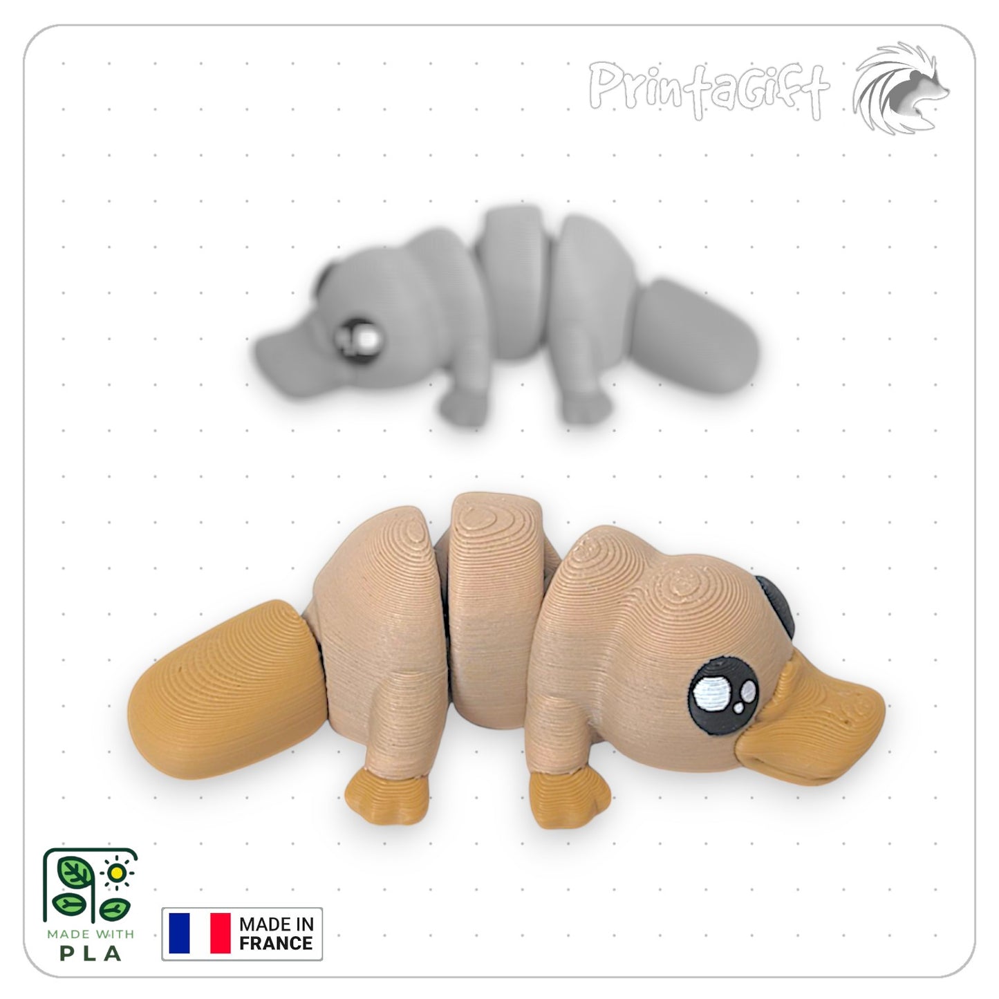 Ornithorynque