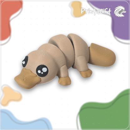 Ornithorynque