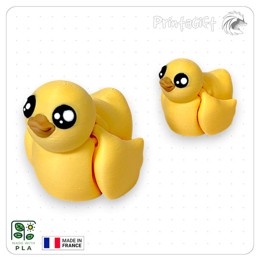 Canard
