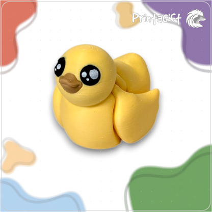 Canard