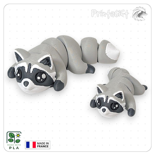 Raton laveur