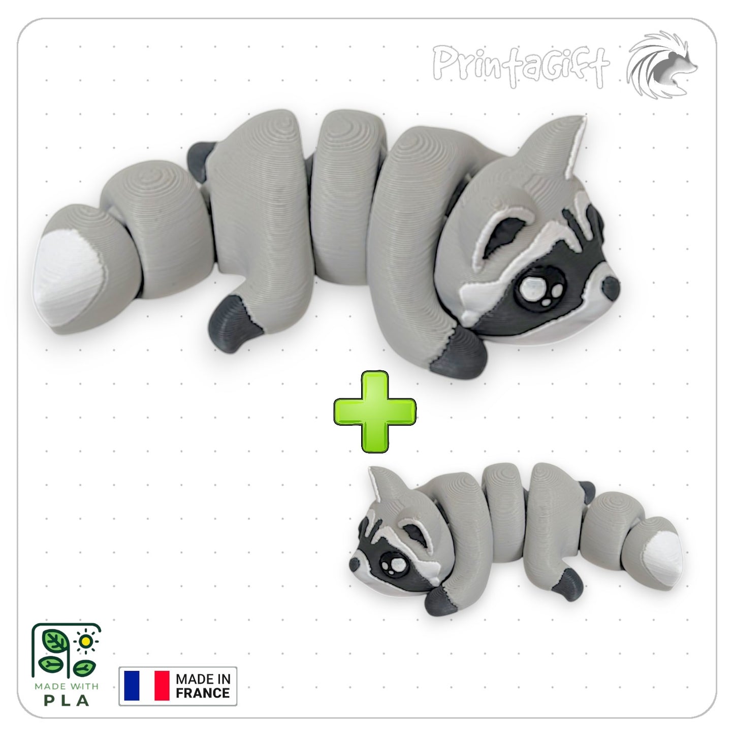Raton laveur