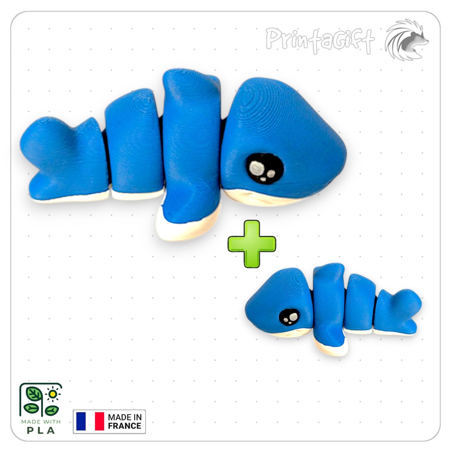 Requin