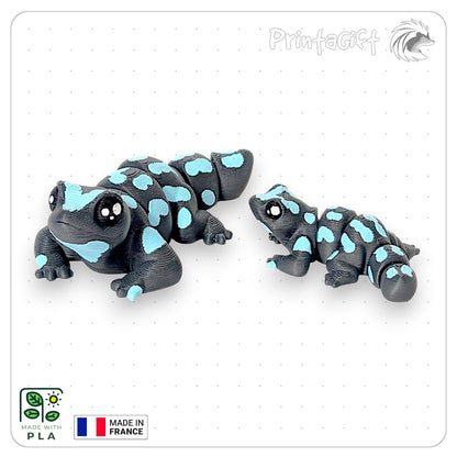 Salamandre bleu