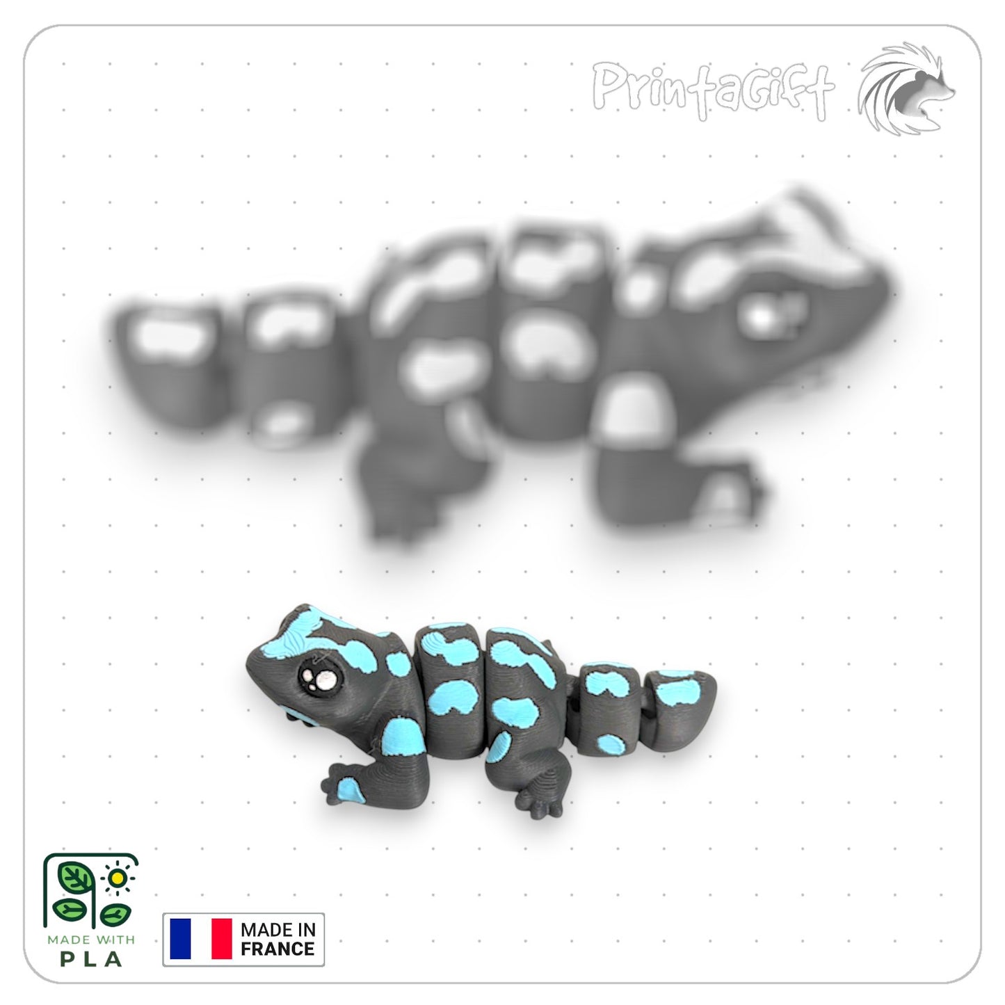 Salamandre bleu