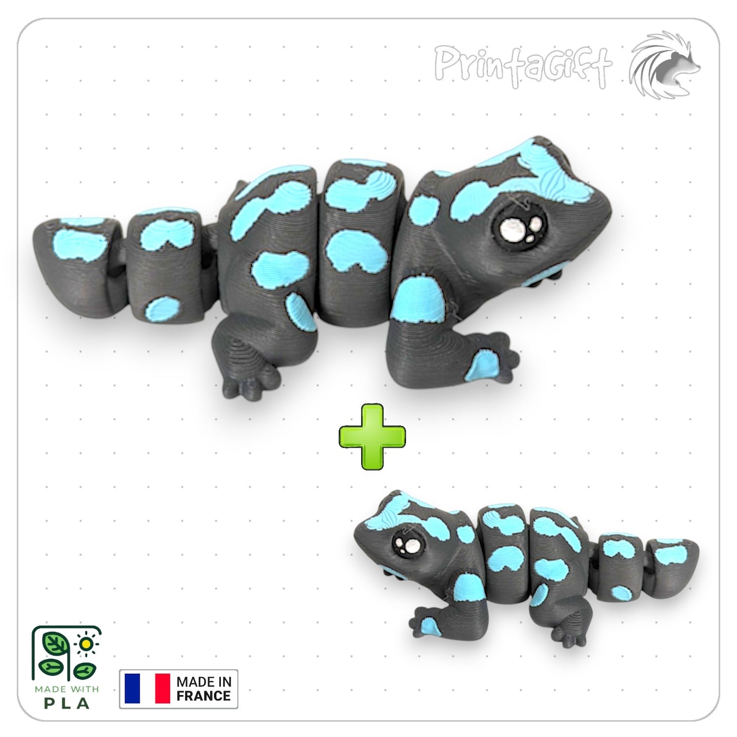 Salamandre bleu