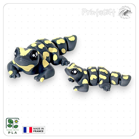 Salamandre jaune