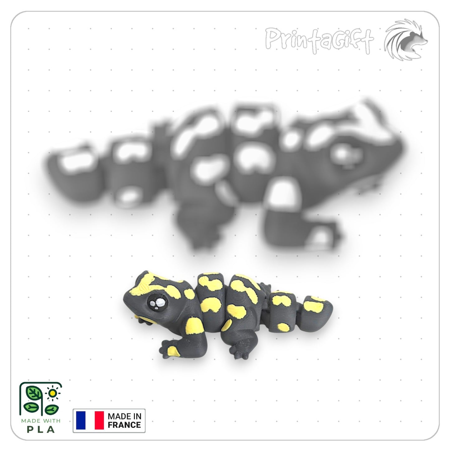 Salamandre jaune