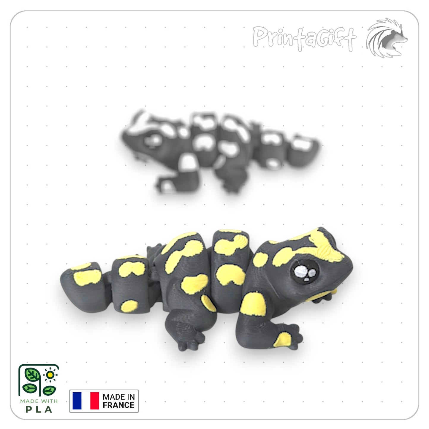 Salamandre jaune