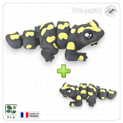 Salamandre jaune