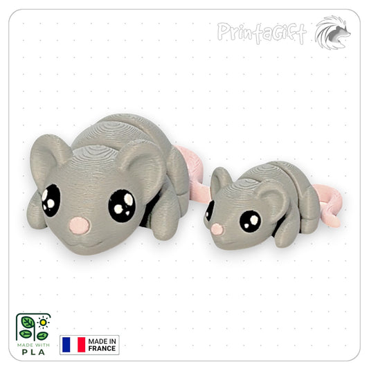 Souris