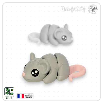 Souris