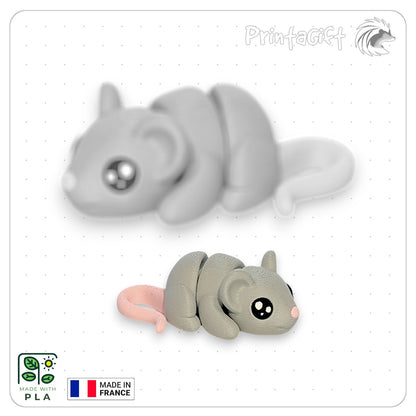 Souris
