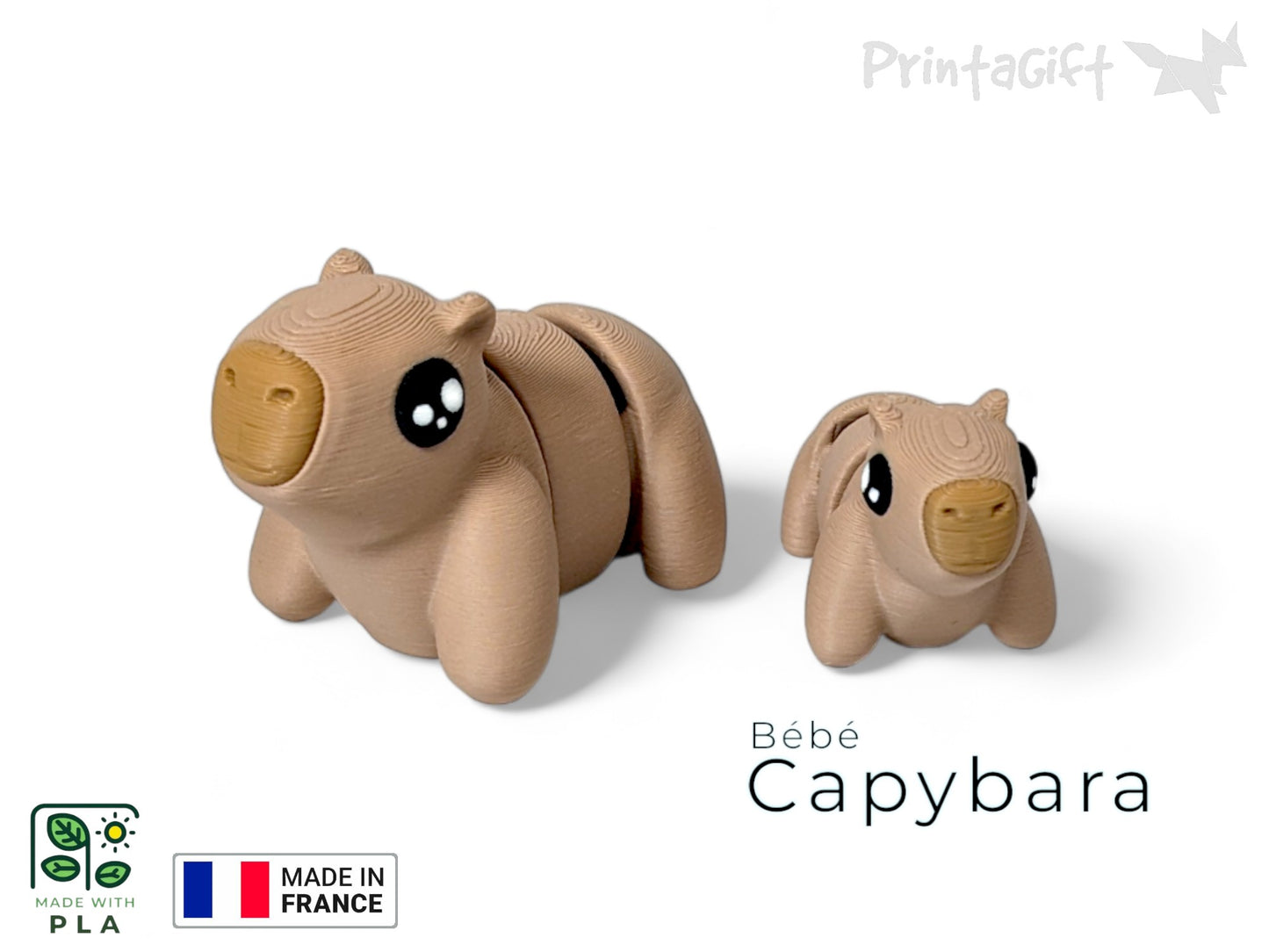 Ptit capybara