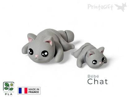 Chat gris