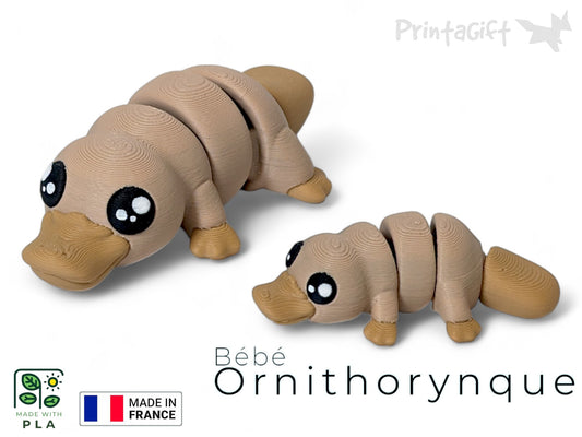 Ptit ornithorynque