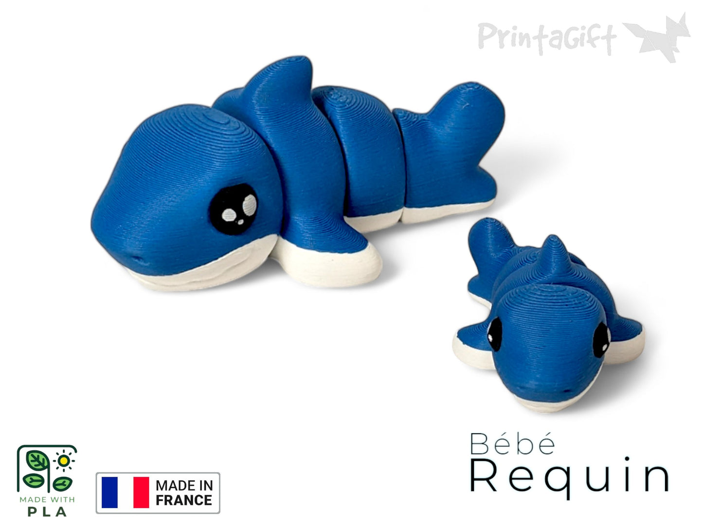 Ptit requin