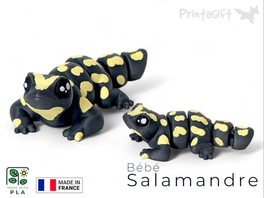 Ptite salamandre jaune