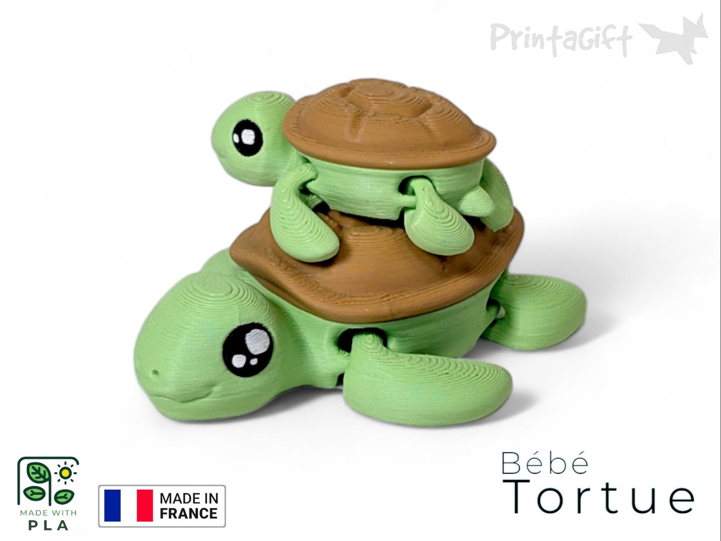 Ptite tortue