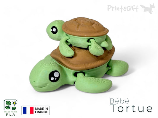 Ptite tortue