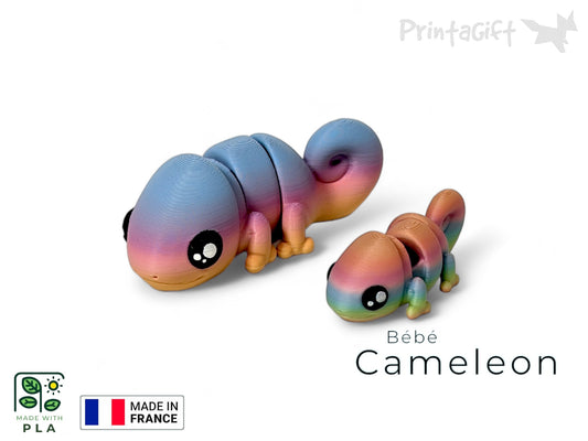 Ptit caméléon arc-en-ciel