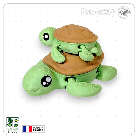 Tortue