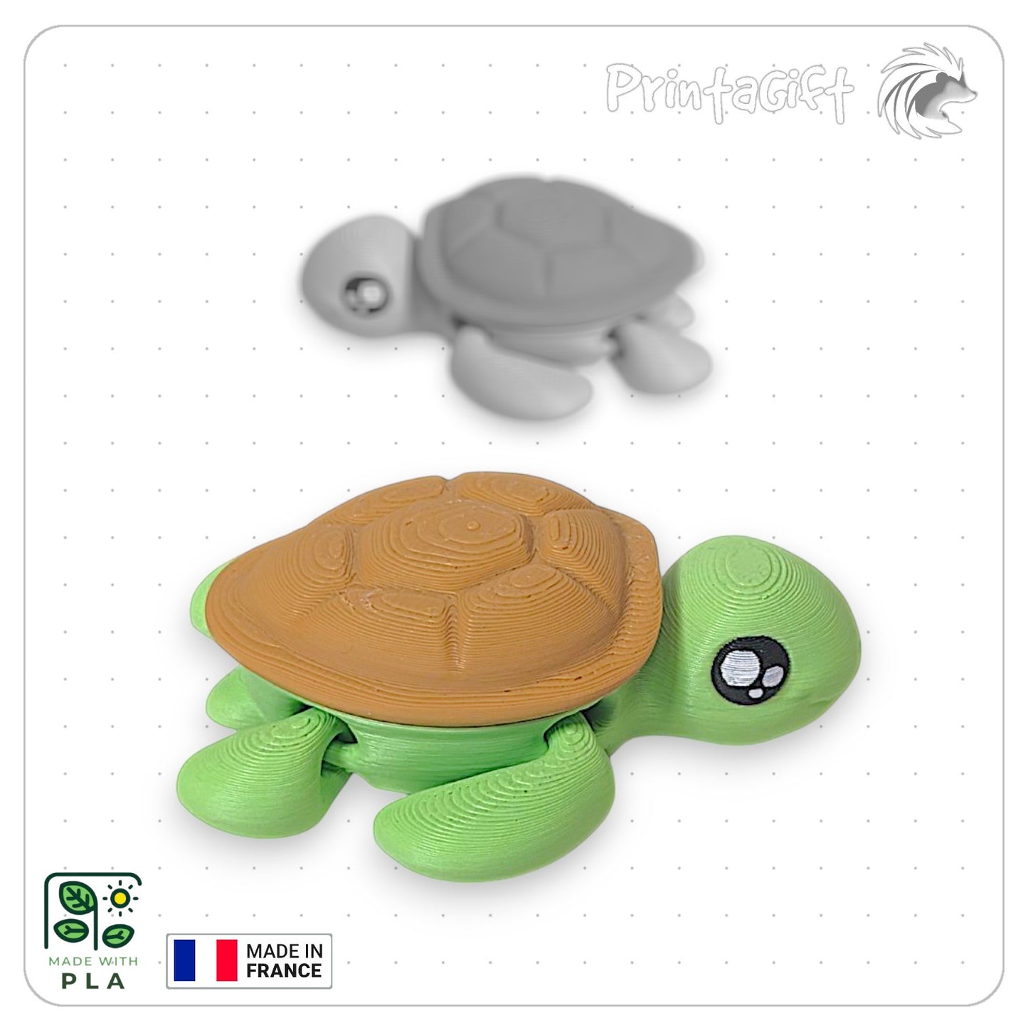 Tortue