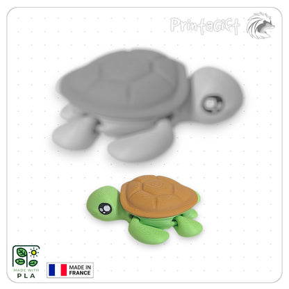 Tortue