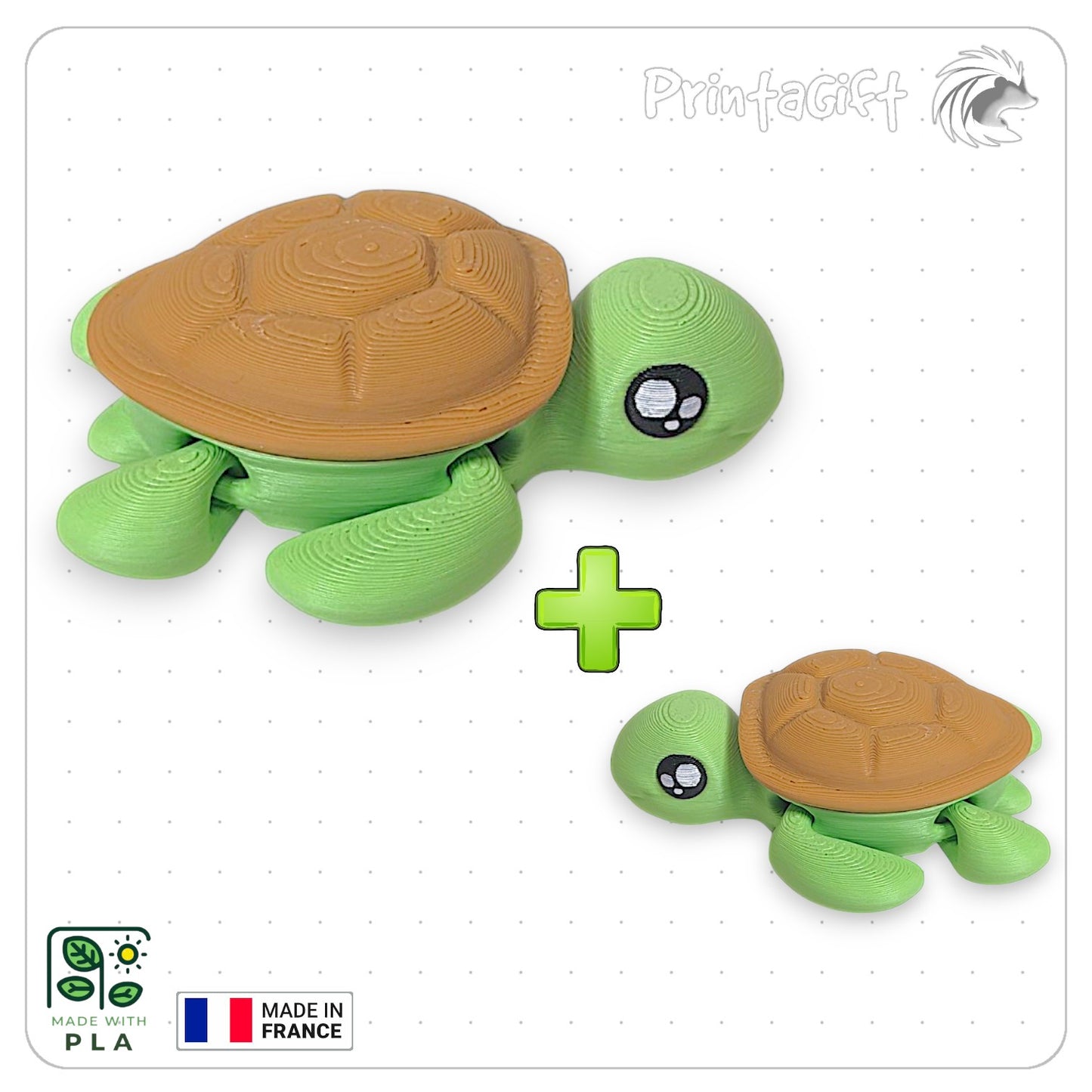 Tortue