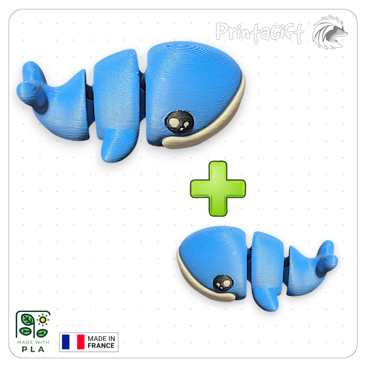 Baleine